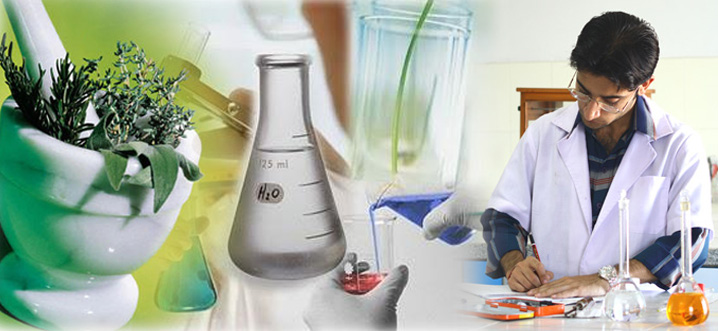 Web Development Company